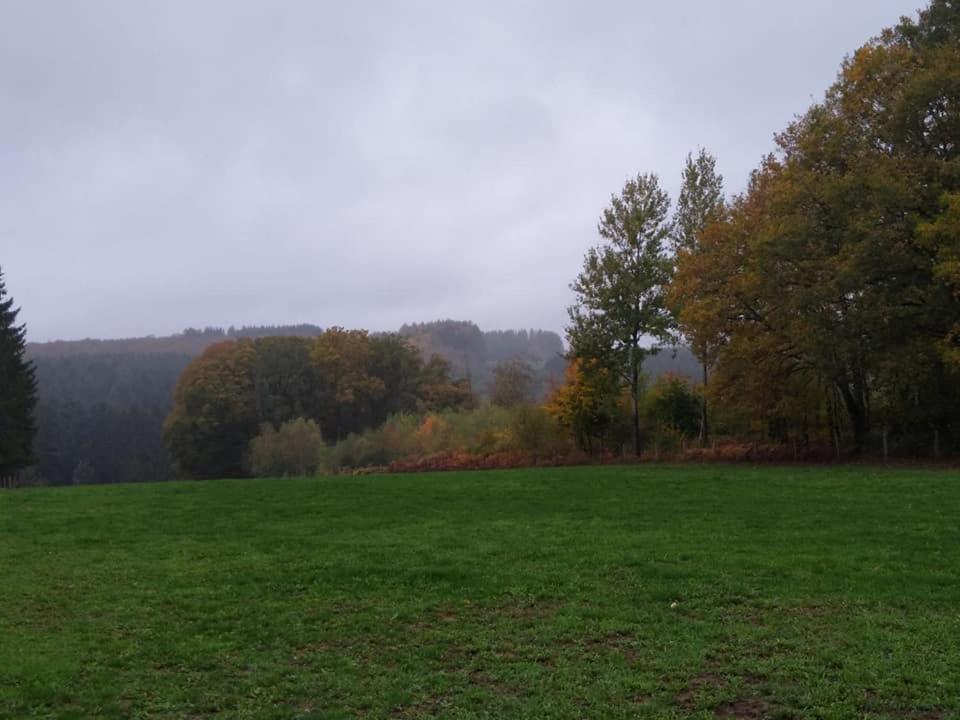 Hotel La Bourgseigneurie Bourseigne-Vieille Zewnętrze zdjęcie